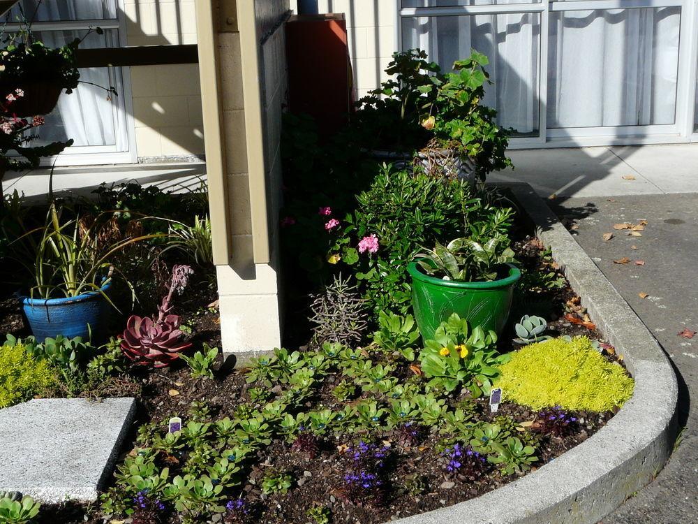 Alpha Motor Inn Palmerston North Dış mekan fotoğraf